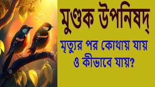 মুন্ডক উপনিষদ LIVEDailyঅনুধ্যানrkmnewnownSwami Harimayananda [upl. by Rannug637]