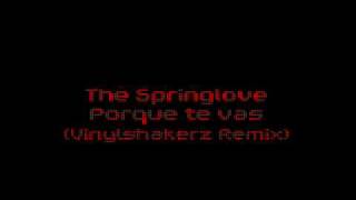 The Springlove  Porque te vas Vinylshakerz Remix [upl. by Alimhaj]