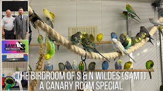 A Canary Room special visit to the Budgie birdroom of S amp N Wildes sam1 [upl. by Aitnecserc828]