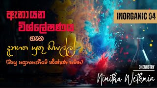 ඇනායන විශ්ලේෂණය පිළිබද සියල්ල කෙටියෙන්  Nimitha Wethmin [upl. by Adnalahs]