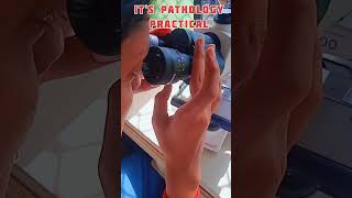 pathology practical Ft 2nd year MBBS neet aiims neet motivation shorts [upl. by Etteniuqna769]