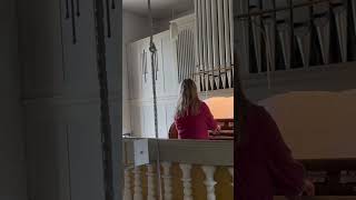 Smetana MOLDAU Jehmlich Orgel Lichtenhain bei Dresden Shorts moldova [upl. by Cecilla]