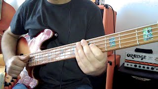 Funk Slap BASS GROOVE with SIRE V10 [upl. by Bohaty538]