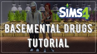 The Sims 4 Basemental mod tutorial [upl. by Elocal]