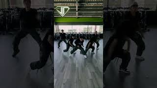 😍​Impacto  Daddy Yankee  GRUPO COREOGRÁFICO VIP🤩 TIK TOK vipcoreo dance coreografía sv [upl. by Nilsoj43]