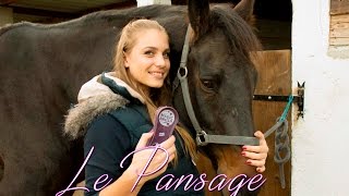 LE PANSAGE COMPLET DE VOTRE CHEVAL 🦄 [upl. by Niwle]