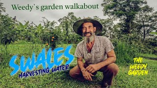 Saving Water and Nutrient with Swales Weedy’s Garden Walkabout  Efficient Swales in Weedy’s Garden [upl. by Phio512]