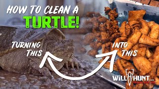 How to Clean a Turtle for Meat [upl. by Bard983]