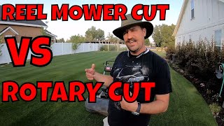 Rotary Mower vs REEL MOWER Cut Quality  Connor Ward [upl. by Ahsiugal]