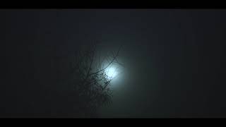 Spooky foggy night Short film B Roll Nikon D7100 [upl. by Enoryt779]