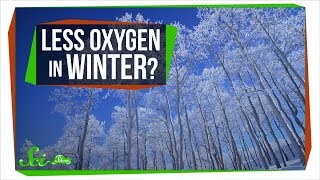 Is There Less Oxygen in the Winter Since Its Colder [upl. by Aicilra283]