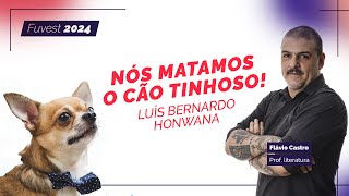 Obras Literárias Fuvest 2024 Nós Matamos o Cão Tinhoso [upl. by Jar]