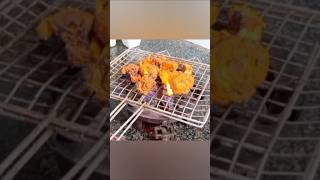 Chicken Tikka recipe with SR Daily kitchen [upl. by Ellek]