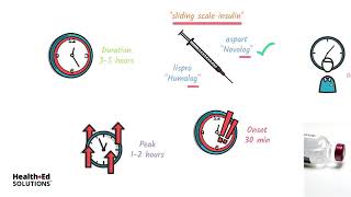 Types of Insulin and How It Works [upl. by Yeltrab]