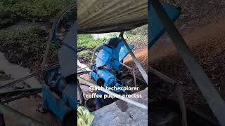 Coffee pulper process coffee coffeelover coffeeplantation [upl. by Miarfe482]