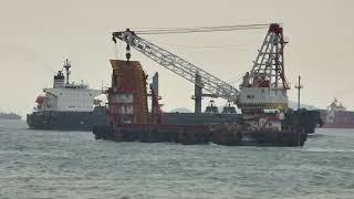 Bulk Carrier《 DALIAN STAR 》20241116 P3310325 [upl. by Gherardo]