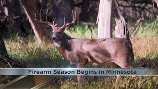 Minnesota Firearm deer season begins November 9 [upl. by Koziarz]