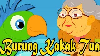 Lagu Kanak Kanak Melayu Malaysia  BURUNG KAKATUA  Parrot Rhyme in Bahasa Malaysia [upl. by Cyma611]