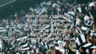 Beşiktaş Tezahüratları  Doyamam Doyamam Sana [upl. by Crescin]