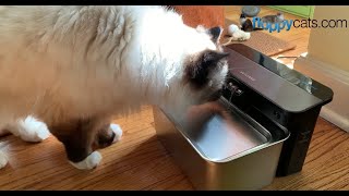 This PETLIBRO Pet Water Fountain is the Best Way to Keep Your Pets Water Safe to Drink [upl. by Sotsirhc928]