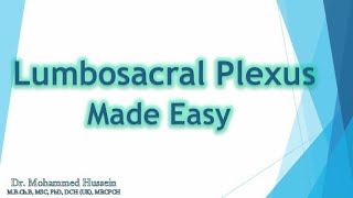 Lumbosacral Plexus Made Easy [upl. by Devad]