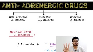 Autonomic Pharmacology  18  AntiAdrenergic Drugs  EOMS [upl. by Nnahsal809]