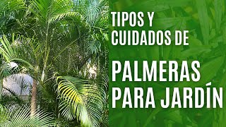 9 tipos de PALMERAS de jardín y sus cuidados [upl. by Corvese408]