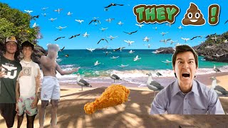 Feeding Seagulls Laxatives PRANK [upl. by Coppins]