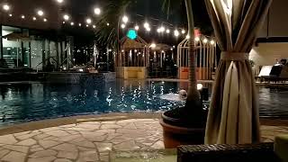 Aerotel swimming pool Changi airport Singapore airports pools travel airtravel [upl. by Varney]