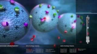 Principles of Chromatography [upl. by Clance]