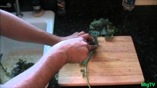 How To Preserve and Freeze Kale Greens EASY [upl. by Benedix]