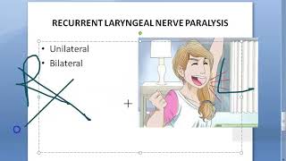 ENT 352 a Recurrent laryngeal nerve MINOR CHANGE IN VOICE paralysis palsy larynx what is anatomy [upl. by Vonnie]