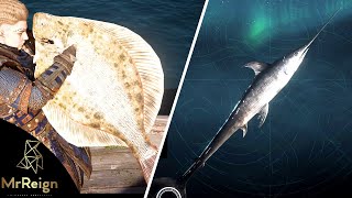 Assassins Creed Valhalla BIG FLATFISH amp BIG MACKEREL LOCATIONS  How to Get the Mythical Swordfish [upl. by Vevay]