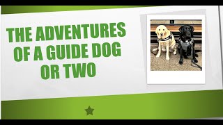 The Adventures Of A Guide Dog or TwoEpisode 1 [upl. by Alrahc]