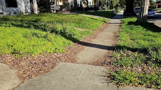 Neighbors Team Up On MOWING This Lawn When It OVERGROWS After City SIEZED The Property [upl. by Evilo]