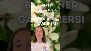 The easiest fruit trees for beginner gardeners fruittrees [upl. by Kenn]