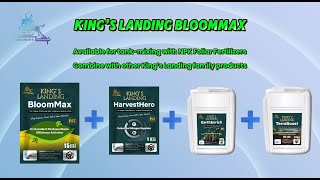 Kings Landing BloomMax Master of Photosynthesis Activator [upl. by Senzer]