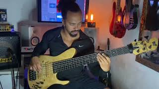 Contusion  Stevie Wonder Bass Cover [upl. by Nicki935]