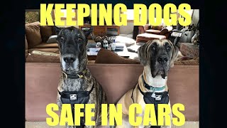 KEEPING DOGS SAFE IN CARS  Kurgo Car Safety Harness [upl. by Filippo]