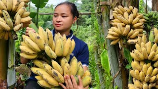 FULL VIDEO 120 Days Harvest Banana Litchi Fruit Melon Plum go market sell  Cooking Gardening [upl. by Claus]