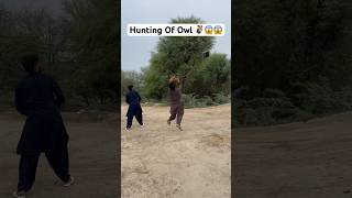 Hunting Of owl 🦉😱shikarigaming huntting entertainment [upl. by Erdnaet]