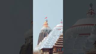 Jagatara jamidar bhata jana ra bandhaba🙏shortsOdia jagannath bhajanaviral shorts [upl. by Corrine]