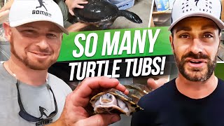 MASSIVE Indoor Turtle SETUP [upl. by Adonis]