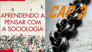 Aprendendo a Pensar com Sociologia  Capítulo 3 [upl. by Goebel]