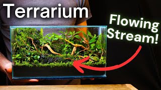 I Made a Terrarium With a FLOWING STREAM Here’s How [upl. by Ibor]