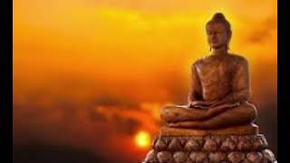 Buddha Purnima 2024 Significance Of Lord Buddha And Buddhism [upl. by Ettore]