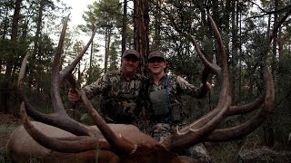 Elk Camp TV Bulls of Jurassic Park Part 2 [upl. by Jobe]