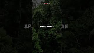 Apa rasanya terjebak di HUTAN AMAZON amazon shorts misteri [upl. by Nostaw]