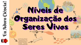 Níveis de Organização dos Seres Vivos de átomo à Biosfera [upl. by Inoek]