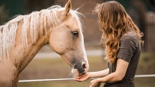 HORSES 🐴HORSES SONG 💥🔥BEAUTIFUL HORSES 🐎BEAUTY OF ANIMALS AND BIRDS 💗ANIMALS VIDEOS 📸 [upl. by Hisbe343]